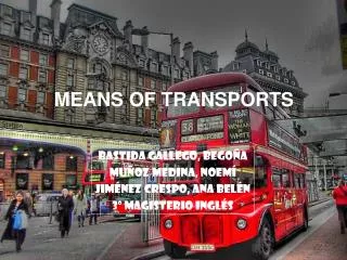 MEANS OF TRANSPORTS