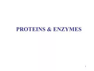 PROTEINS &amp; ENZYMES
