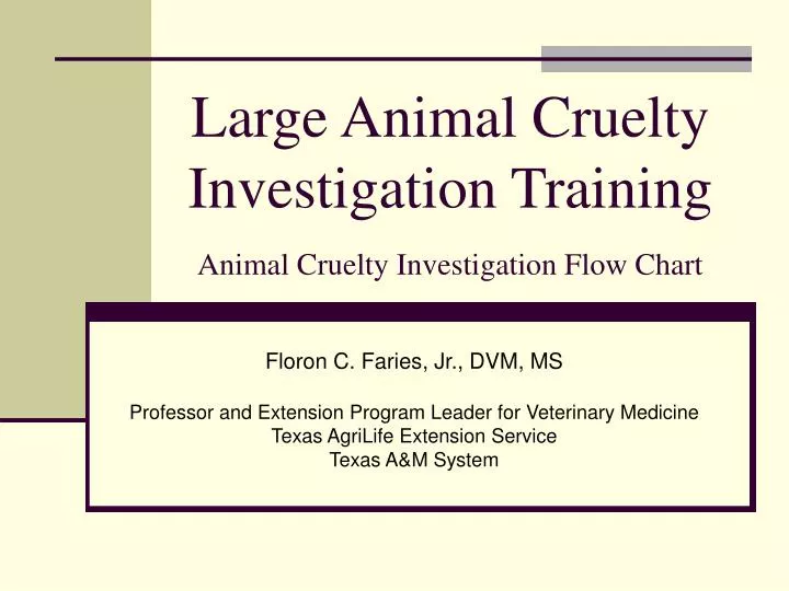 large animal cruelty investigation training animal cruelty investigation flow chart