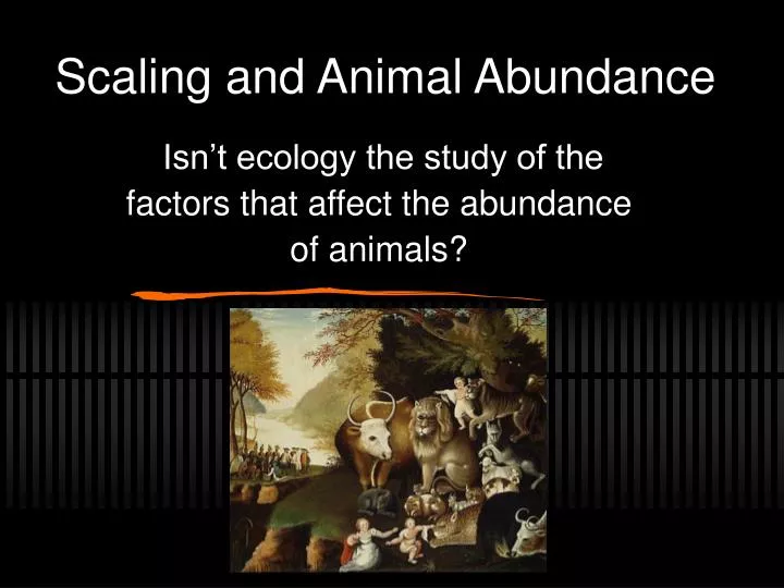 scaling and animal abundance