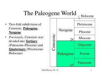 The Paleogene World
