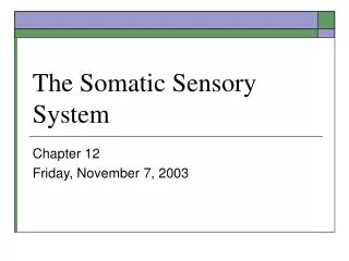 the somatic sensory system