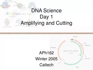 DNA Science Day 1 Amplifying and Cutting