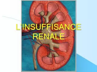 l insuffisance renale