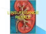 L’INSUFFISANCE RENALE - slide 1
