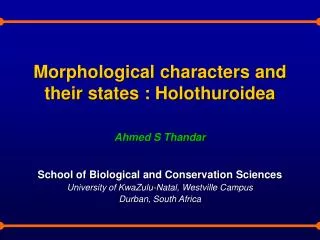 Morphological characters and their states : Holothuroidea