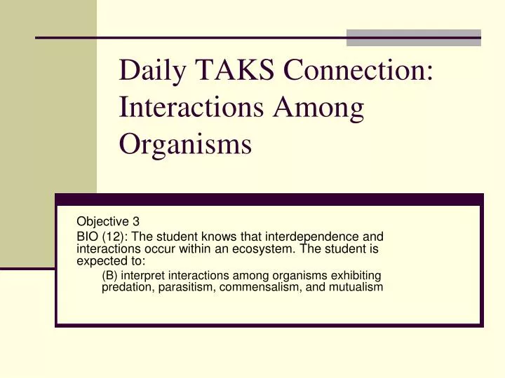 daily taks connection interactions among organisms