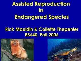 Assisted Reproduction In Endangered Species Rick Mauldin &amp; Collette Thepenier BS640, Fall 2006