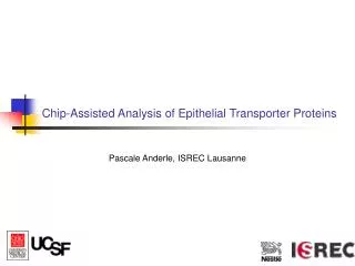 Chip-Assisted Analysis of Epithelial Transporter Proteins