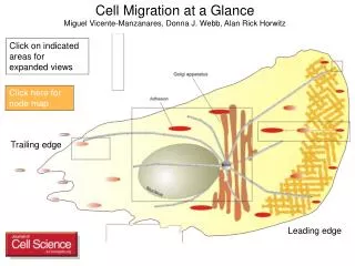 Click on indicated areas for expanded views