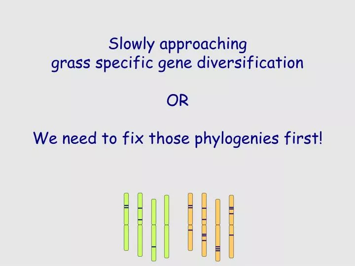 slowly approaching grass specific gene diversification or we need to fix those phylogenies first