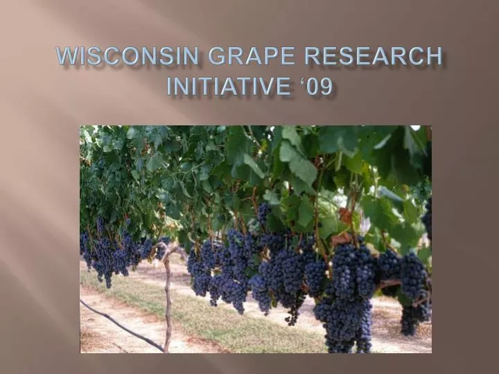 wisconsin grape research initiative 09