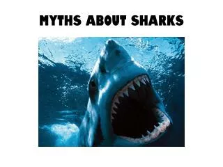 Myths about Sharks