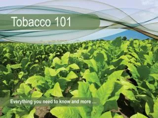 Tobacco and the Environment