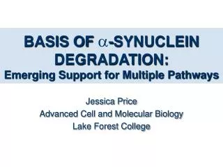 BASIS OF  -SYNUCLEIN DEGRADATION: Emerging Support for Multiple Pathways