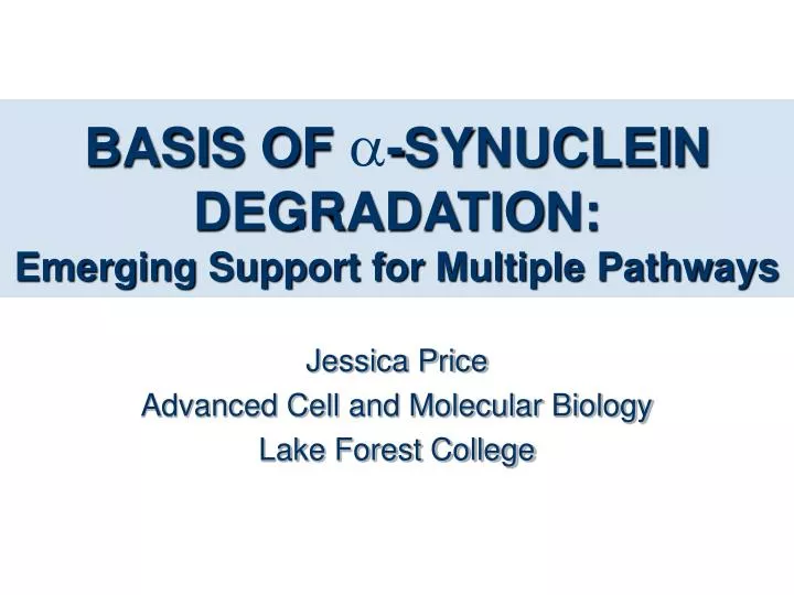 basis of synuclein degradation emerging support for multiple pathways