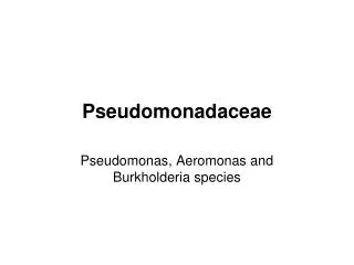 Pseudomonadaceae