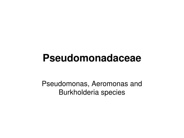 pseudomonadaceae