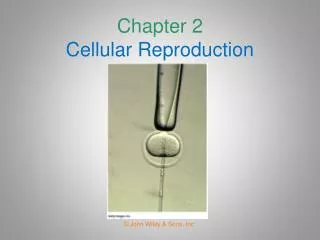 Chapter 2 Cellular Reproduction