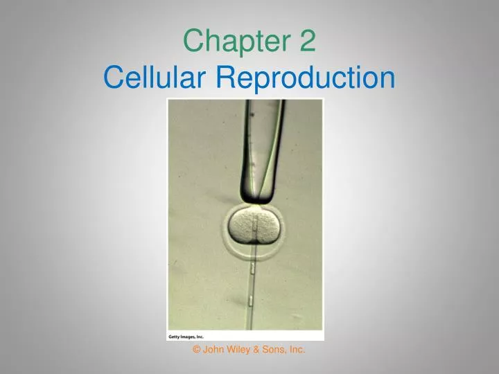 chapter 2 cellular reproduction