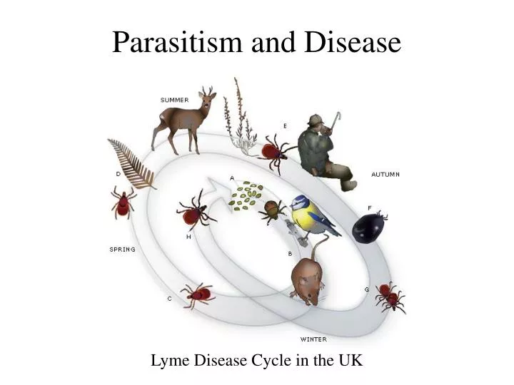 parasitism and disease