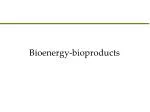 Bioenergy-bioproducts - slide 1