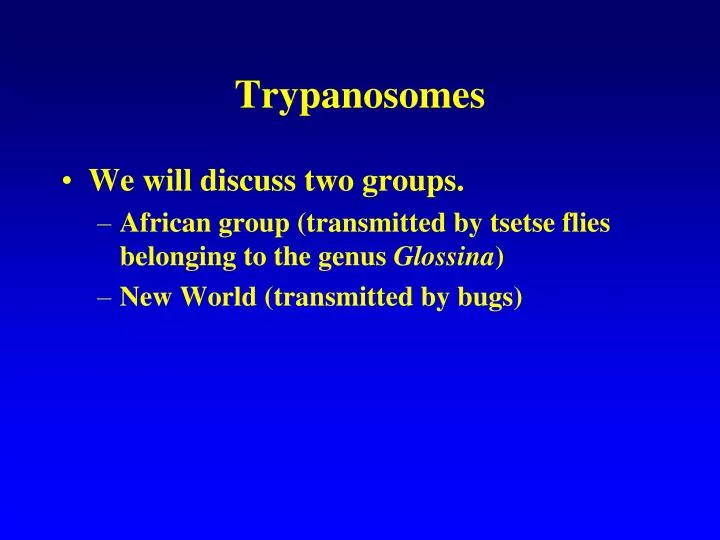 trypanosomes
