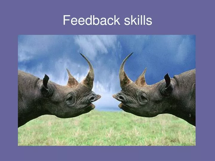 feedback skills