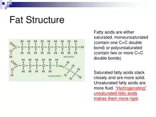 Fat Structure