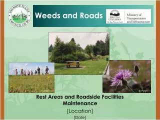 Rest Areas and Roadside Facilities Maintenance [Location] [Date]