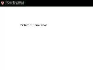 Picture of Terminator