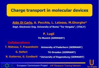 Charge transport in molecular devices