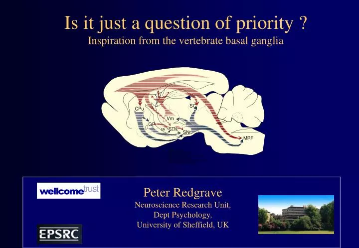 is it just a question of priority inspiration from the vertebrate basal ganglia
