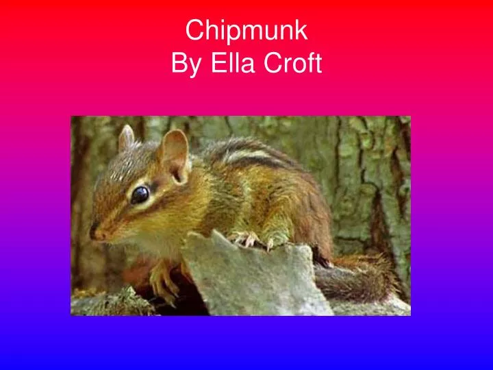 chipmunk by ella croft