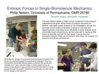 Entropic Forces in Single-Biomolecule Mechanics Philip Nelson, University of Pennsylvania, DMR- 25780