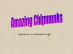 Amazing Chipmunks - slide 1