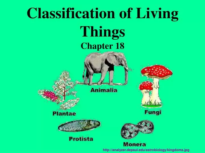 classification of living things chapter 18