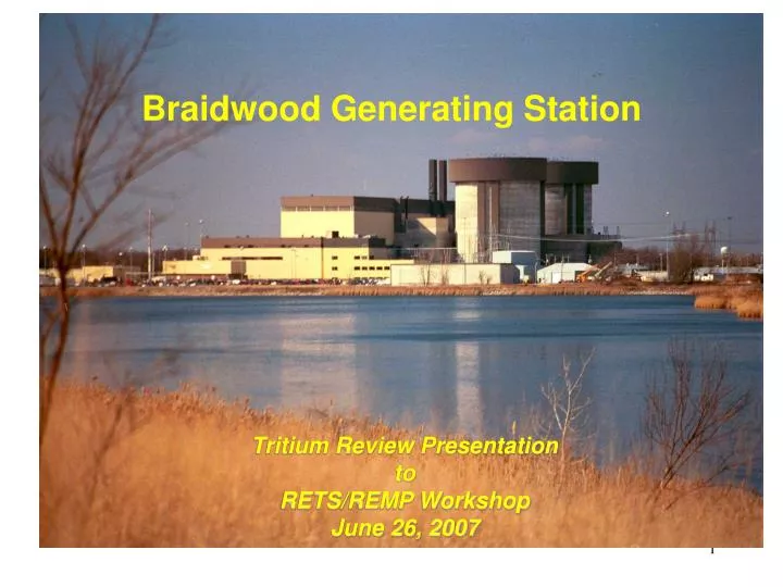 braidwood generating station