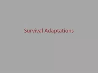 Survival Adaptations