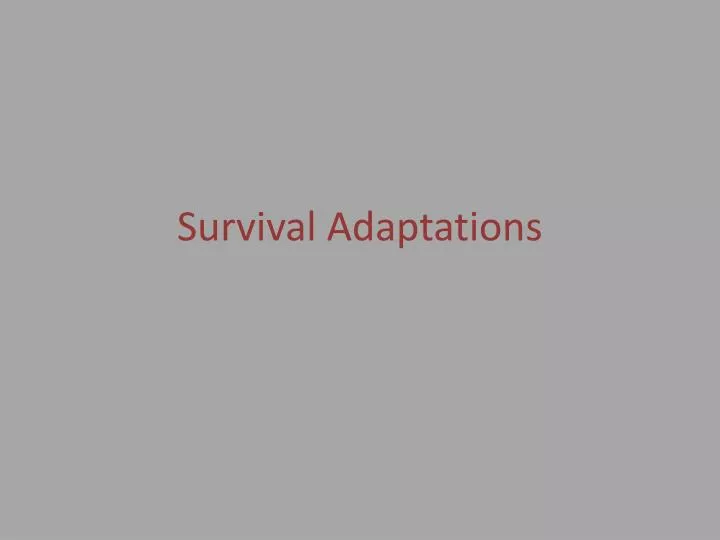 survival adaptations