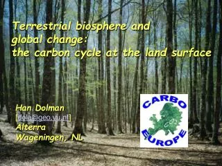 Terrestrial biosphere and global change: the carbon cycle at the land surface