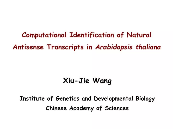 computational identification of natural antisense transcripts in arabidopsis thaliana
