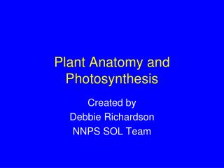 Plant Anatomy and Photosynthesis