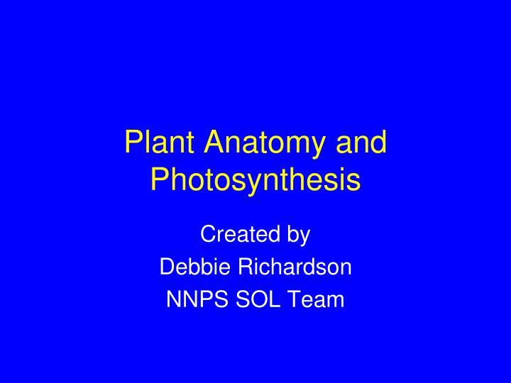 plant anatomy and photosynthesis