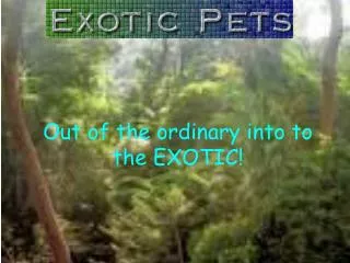 Out of the ordinary into to the EXOTIC!