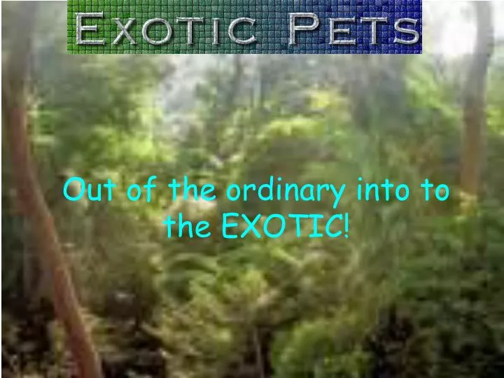 out of the ordinary into to the exotic