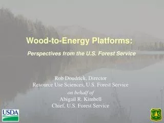 Wood-to-Energy Platforms: