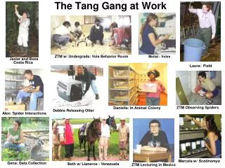 The Tang Gang at Work