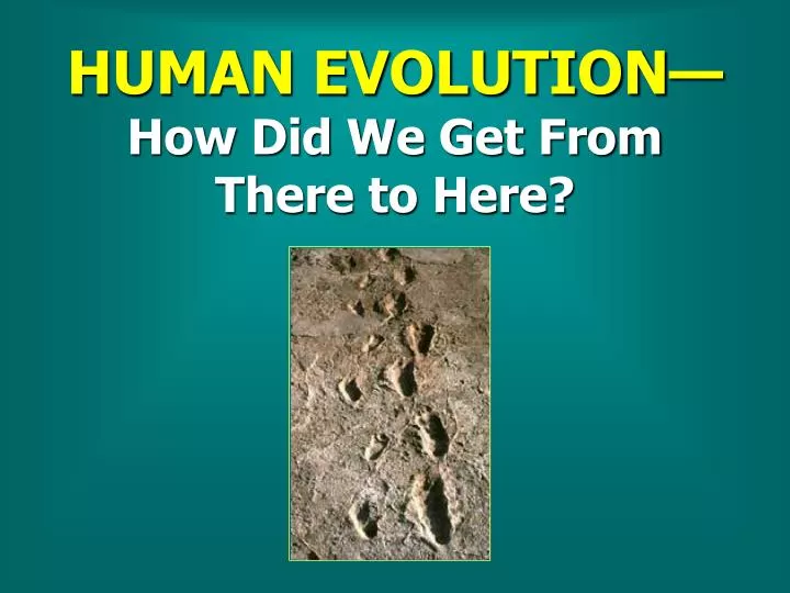 human evolution how did we get from there to here