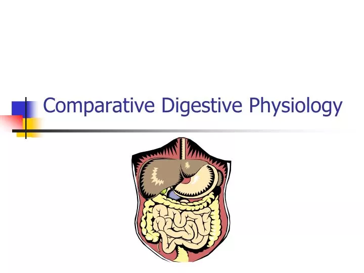 comparative digestive physiology